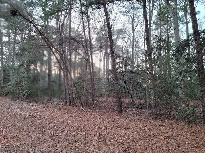 Property Photo: Lot 7A1 Wilsonia Shores Dr VA 23405