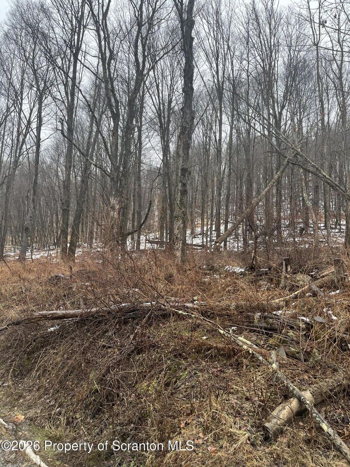 Property Photo:  922 Hawk Road  PA 18801 