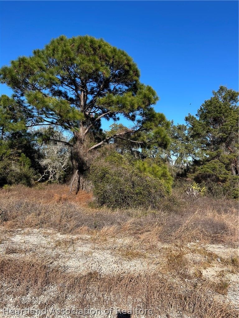 Property Photo: 487 Devotion Drive FL 33852