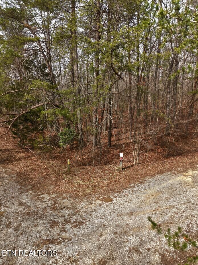 Property Photo: 443 Marmaduke Drive TN 38558