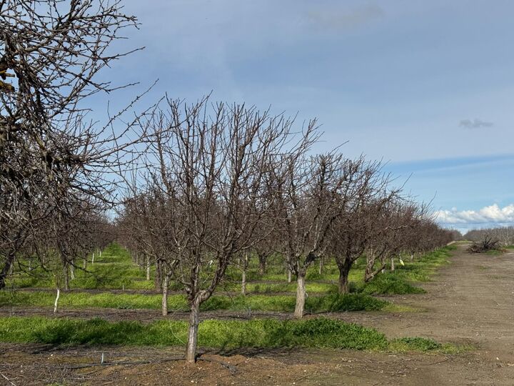 Property Photo: 6722 Bryden Road CA 95901