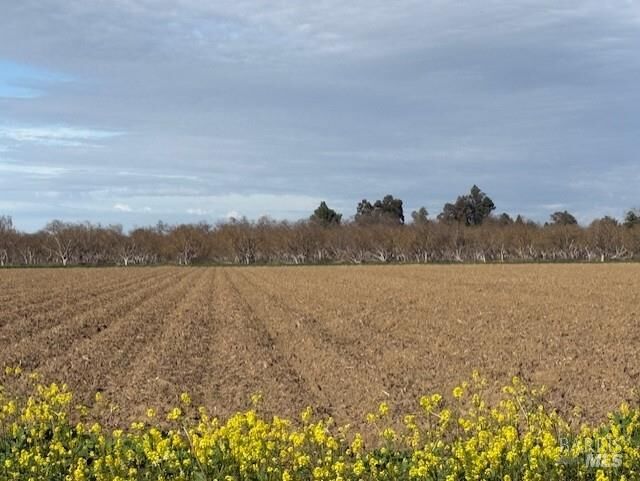 Property Photo:  9415 Stevenson Bridge Road  CA 95694 