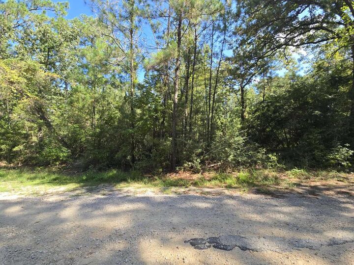 Property Photo:  R32815 Idlewood  TX 75931 