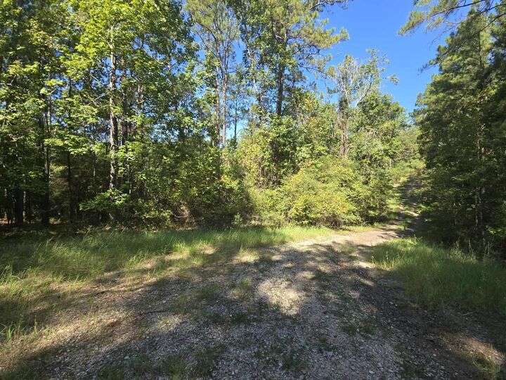 Property Photo:  R34125 Deer Run Lane  TX 75931 