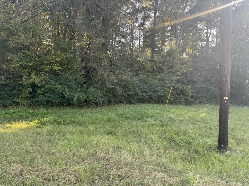 Property Photo:  Tbd Old Tyler Road  TX 75964 