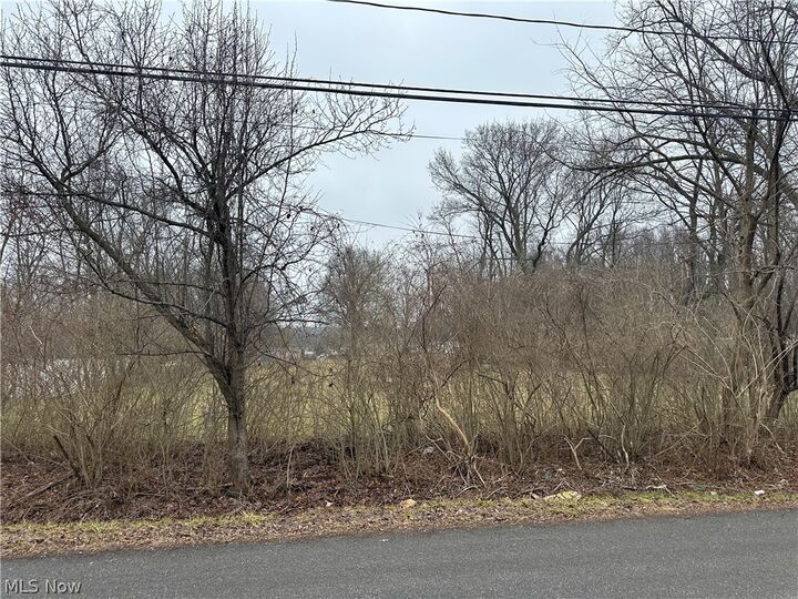 Property Photo:  V/L Ellet Avenue  OH 44312 