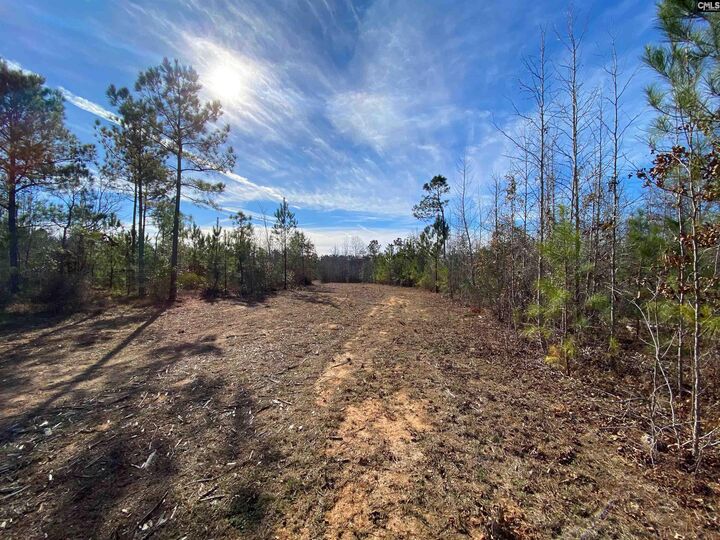 Property Photo:  900 Piney Wood  SC 29138 