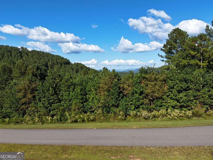 Property Photo: Lot55 Thirteen Hundred GA 30512