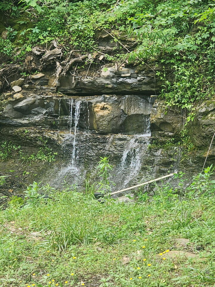 Property Photo: 1245 Bridge Hollow Road KY 42503
