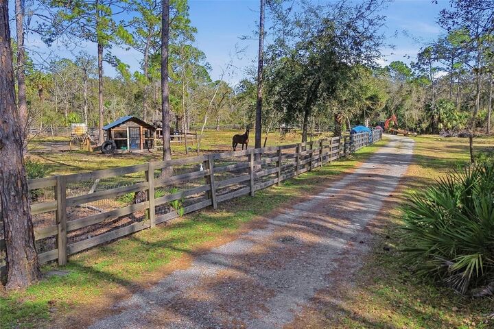 Property Photo:  539 Tabatha Drive  FL 32764 