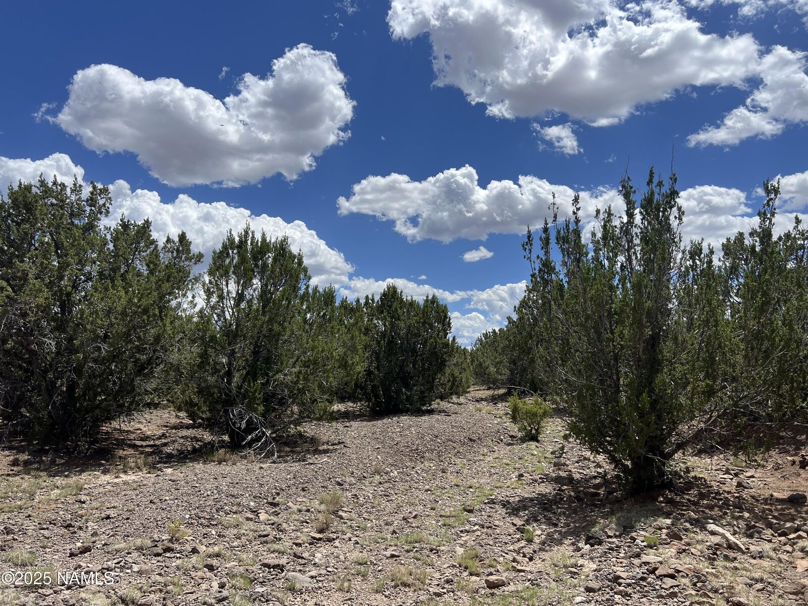 Property Photo:  3472 Whitetail Loop  AZ 86046 