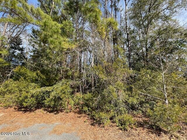 Property Photo:  38 Lot 38 Cedar Find Cove  NC 28411 