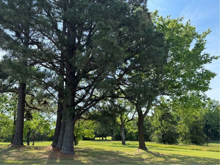 Property Photo:  3113 Savannah Drive  AR 72601 