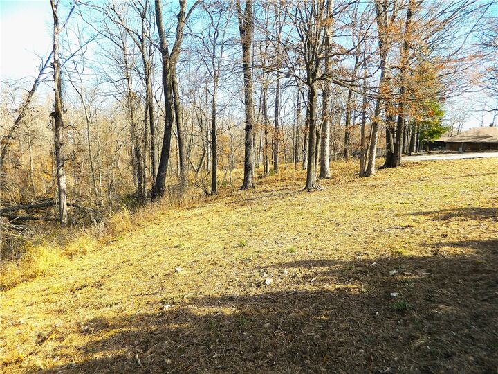 Property Photo: N Hilltop Circle AR 72756