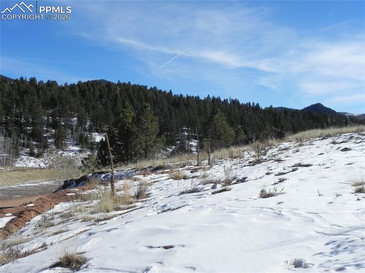 Property Photo:  277 Gold King Drive  CO 80813 