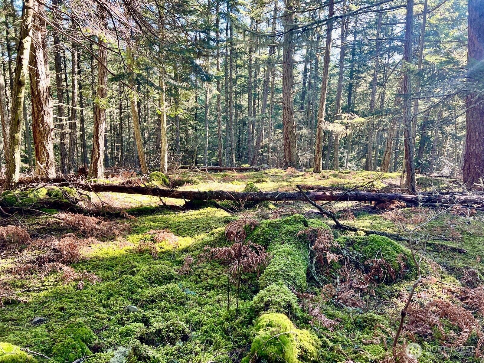 Property Photo: 0 Highland Drive WA 98221