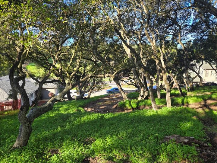 Property Photo: 0 Paradise Road CA 93907