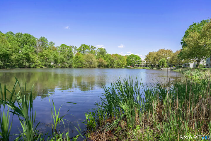 Property Photo:  119 Rowayton Woods Drive 119  CT 06854 