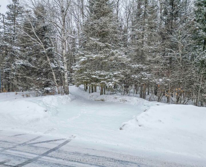 Con 9 Pt Lot 17 Highway 534 N/A — photo 1