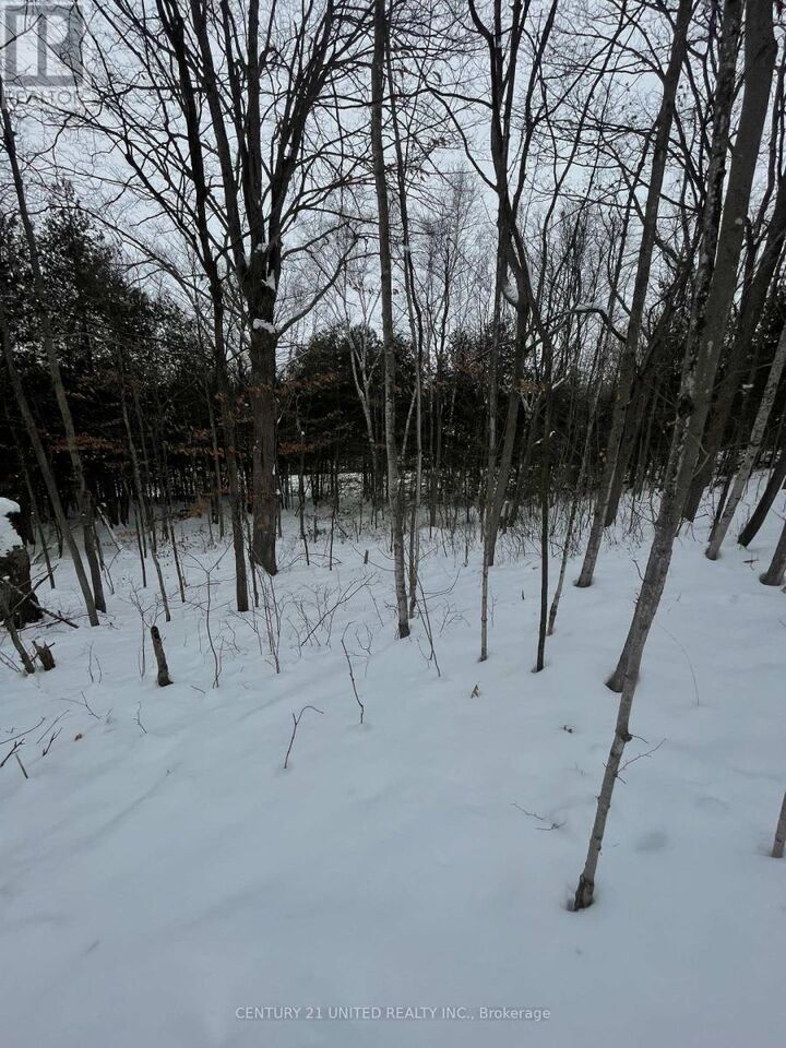 Property Photo:  Ptlt 37 Trent View Drive  ON K0L 1Y0 