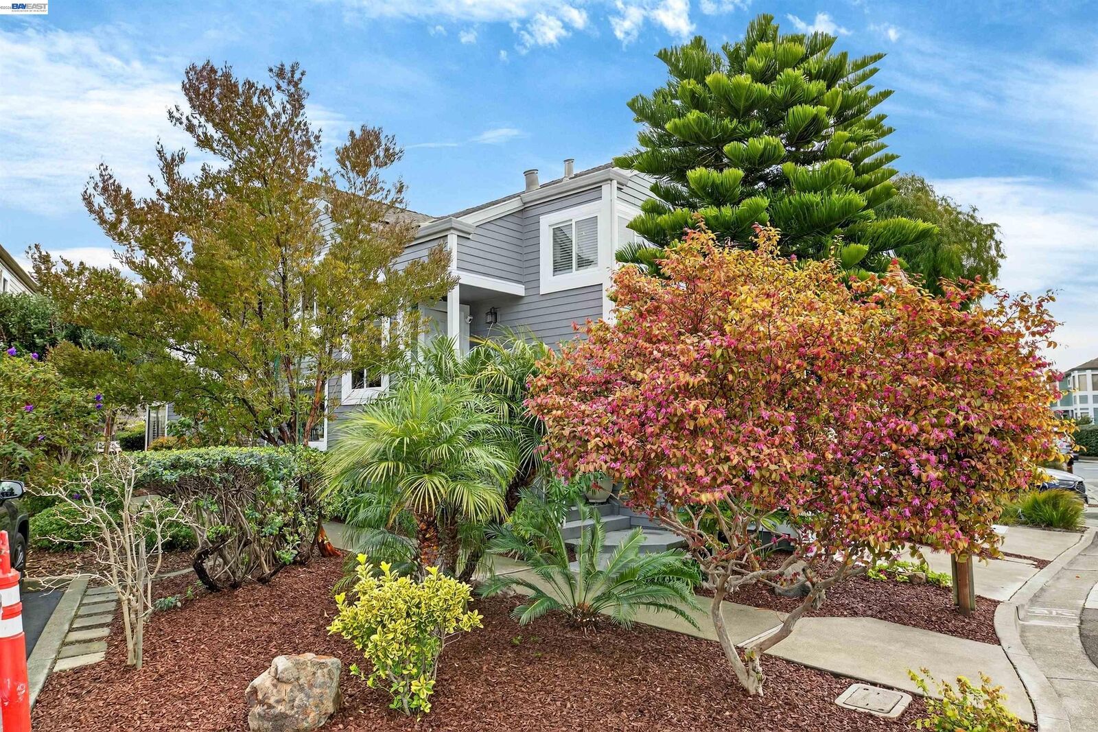 Property Photo:  137 Parfait Ln  CA 94502 