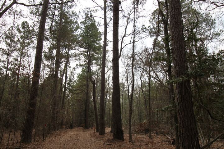 Property Photo: R 12227 Plantation Drive TX 75901