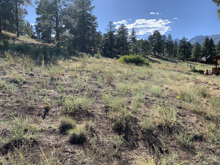 Property Photo:  11668 N Rope Arabian Road 2  AZ 86004 