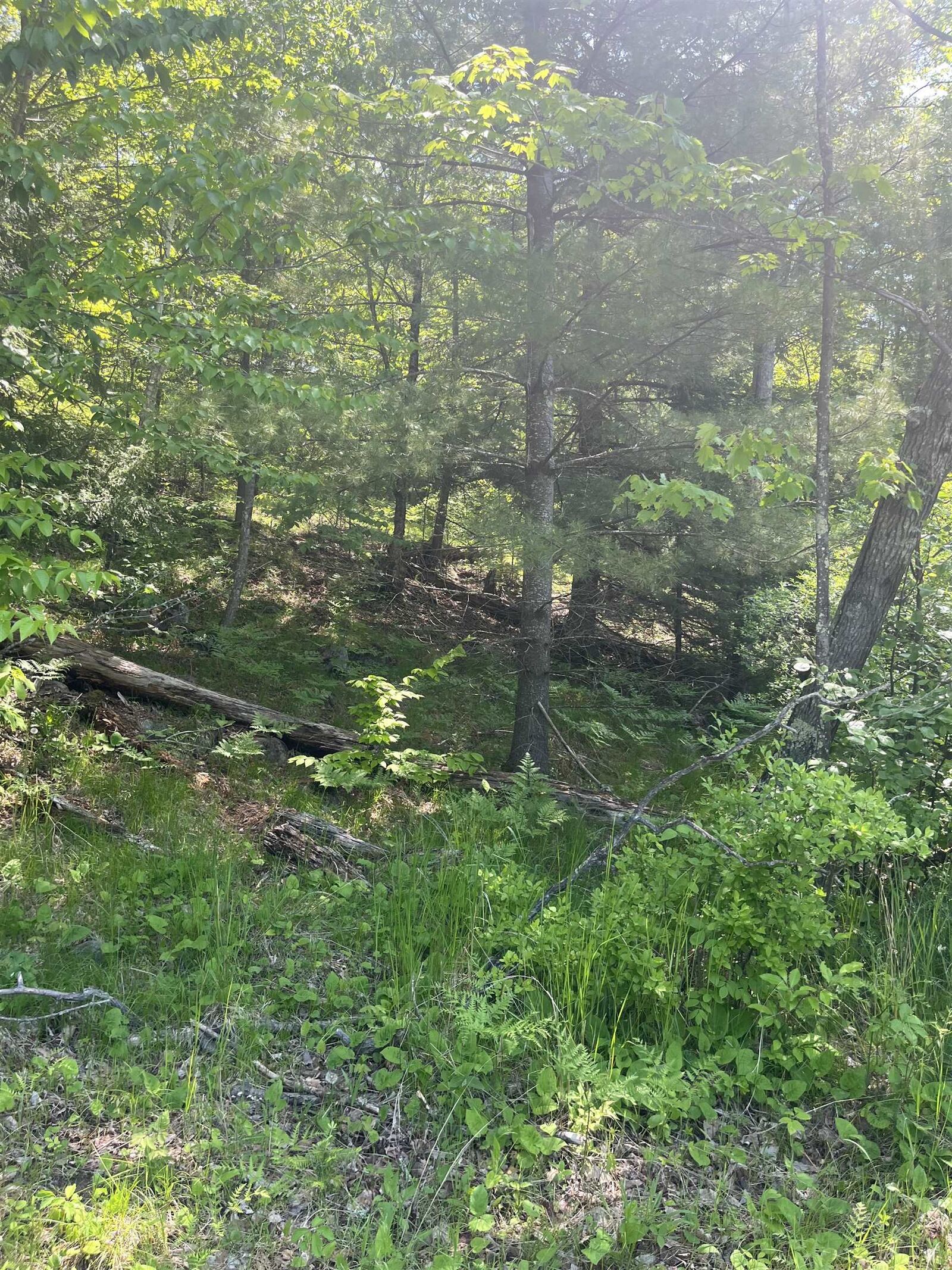 Property Photo:  Lake John Road  WI 54138 