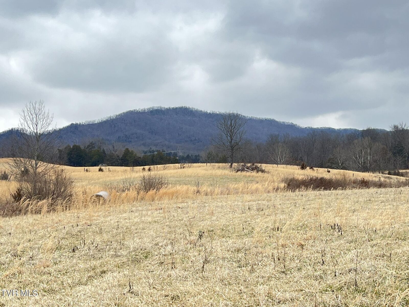 Property Photo: Tbd Brake Tree Lane TN 37745