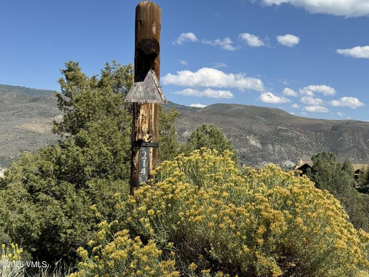 Property Photo:  214 Juniper Trail  CO 81655 