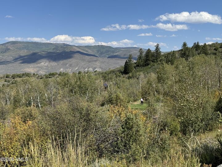 Property Photo:  217 Saddle Rock  CO 81655 