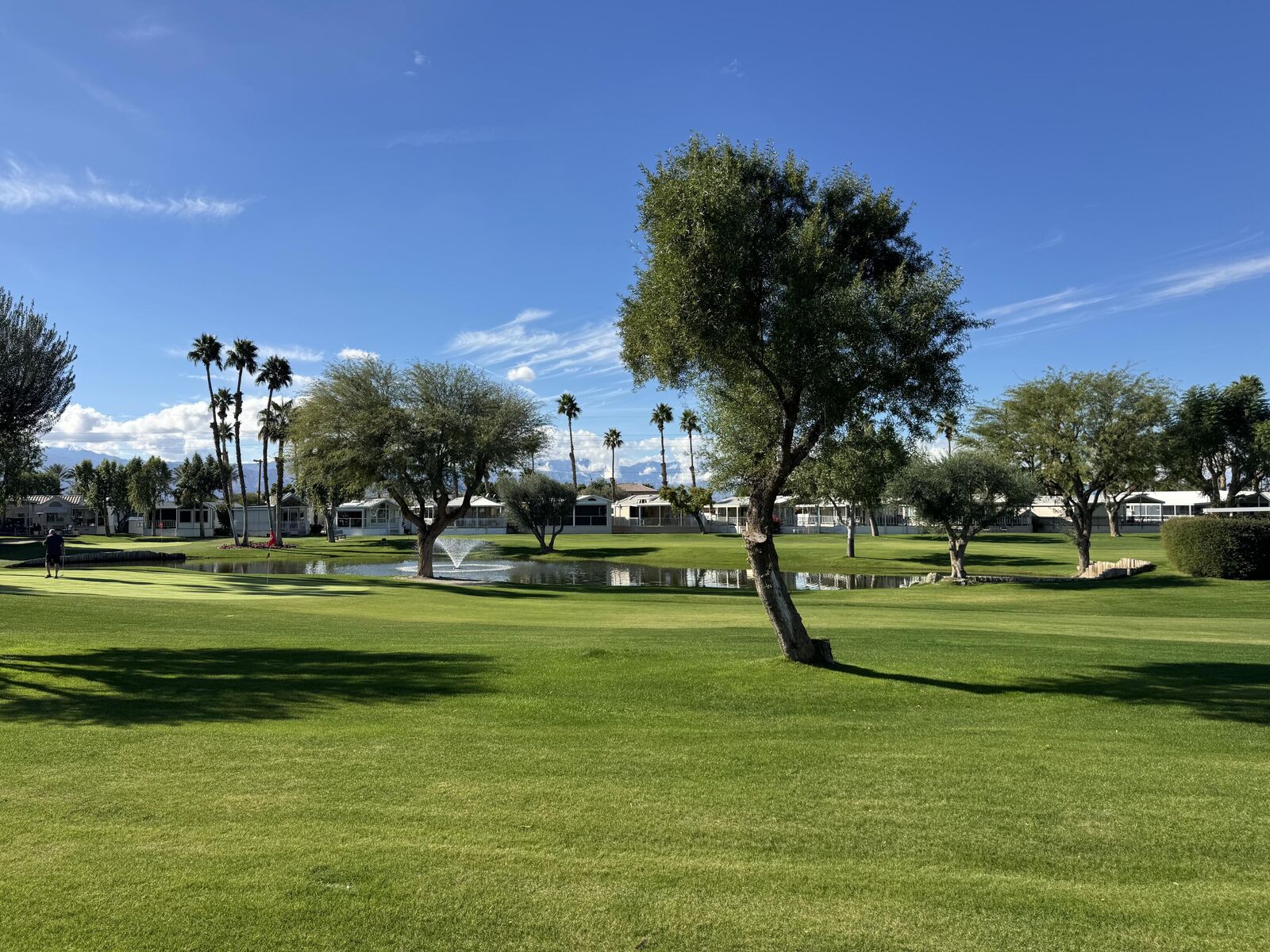 Property Photo: 84136 Avenue 44 281 CA 92203