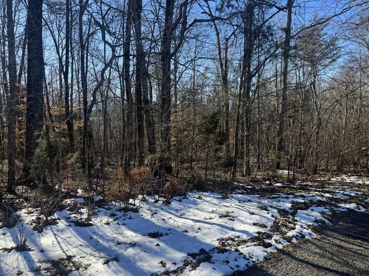 Property Photo:  280 Chapman Road  TN 37327 
