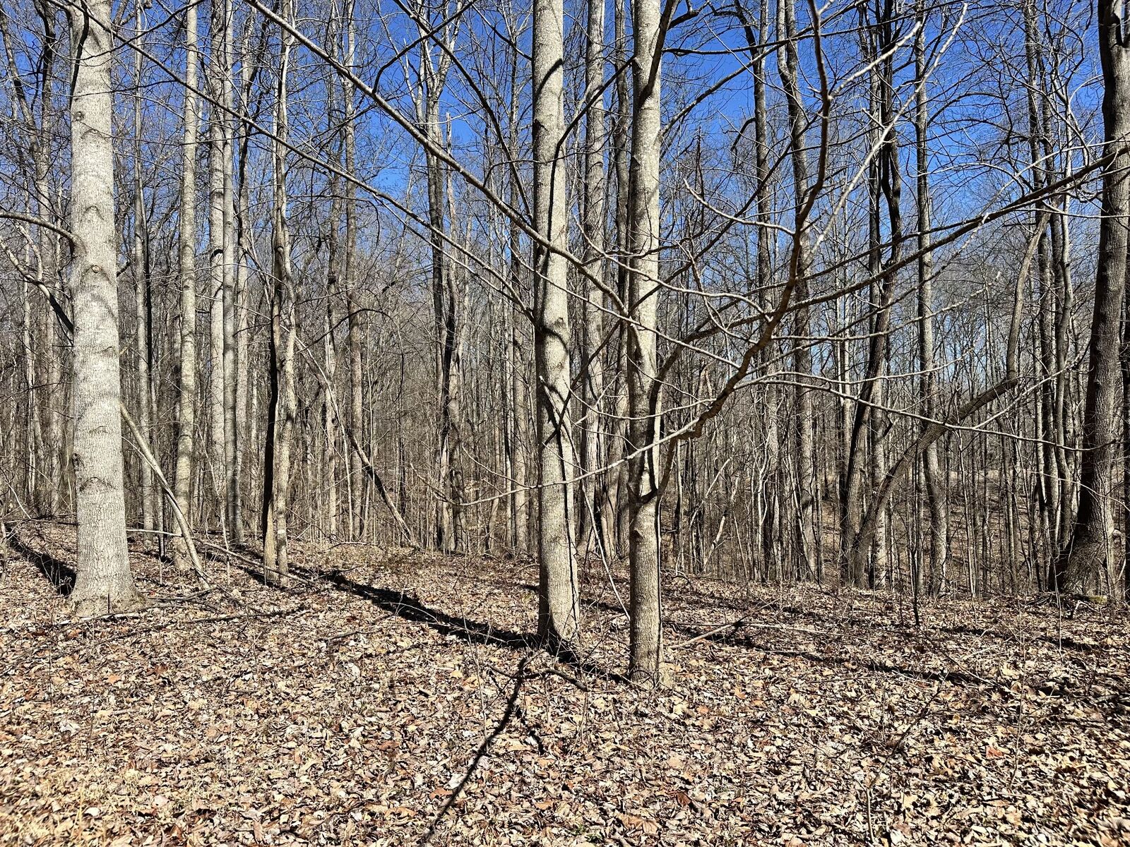 Property Photo: 297 Tennis Center Drive TN 37166