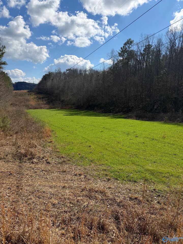 Property Photo:  #80 Snow Point Road  AL 35976 