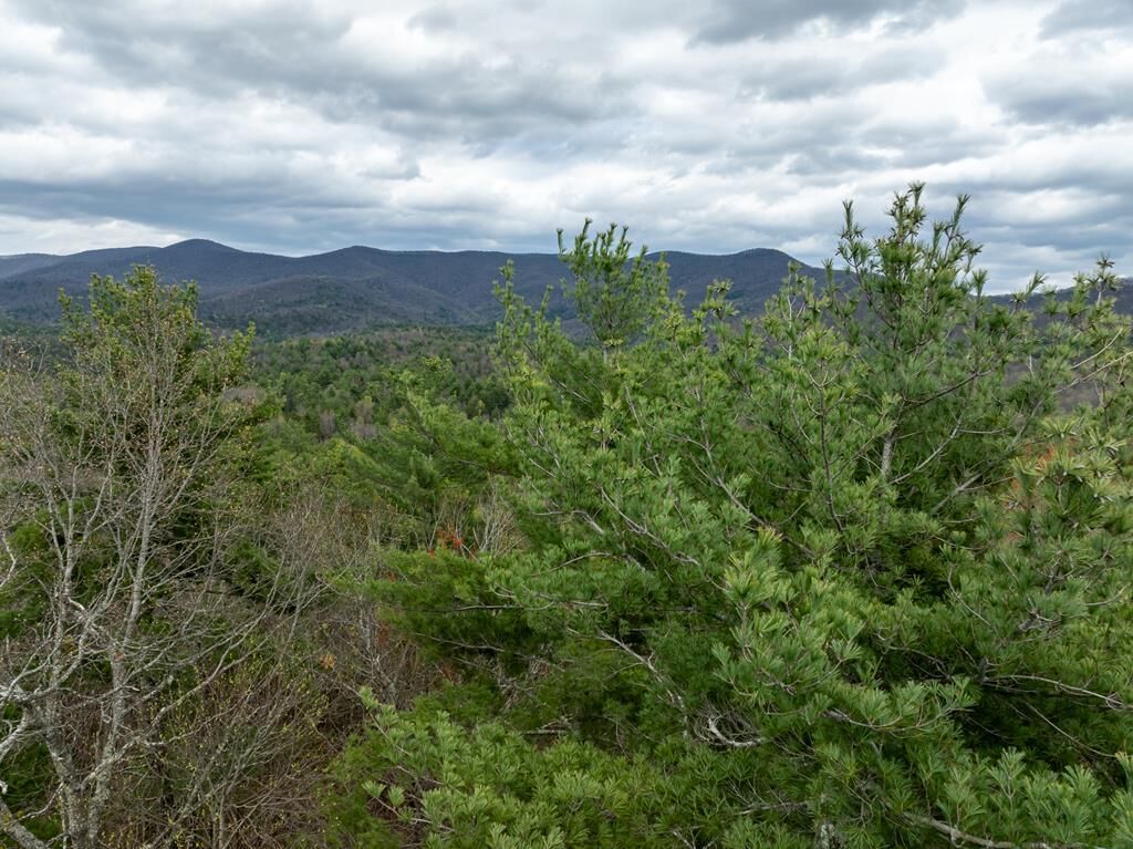 Property Photo:  Lot A-D Harpers Creek Road  GA 30540 