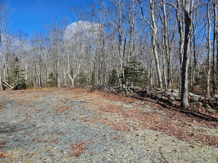 Property Photo:  Lot Highway 3  NS B0T 1K0 