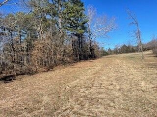 Property Photo:  Tbd 605 County Rd 152  AR 72632 