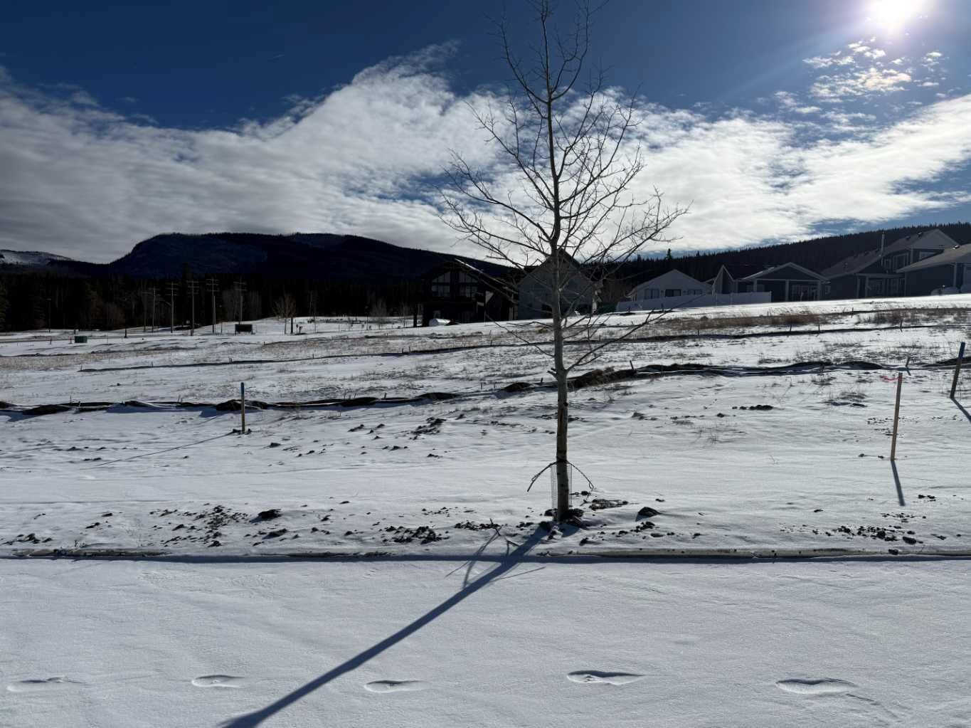 Property Photo: 425 Lily Avenue AB T0M 2H0