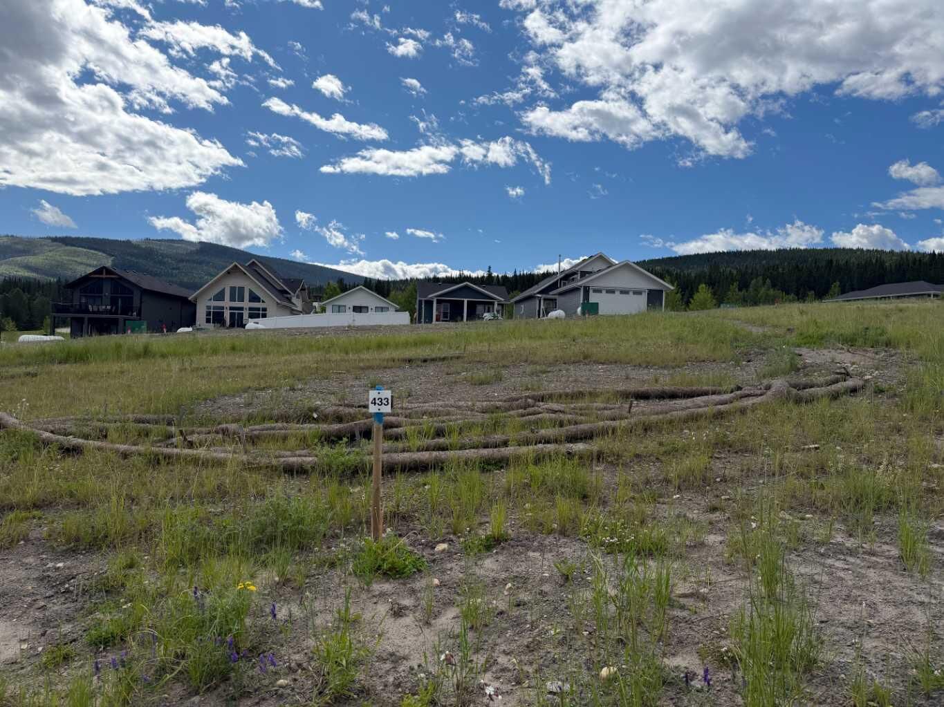 Property Photo: 433 Lily Avenue AB T0M 2H0