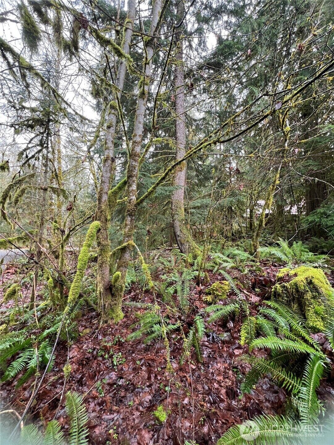 Property Photo:  15026  Iceberg Road  WA 98244 
