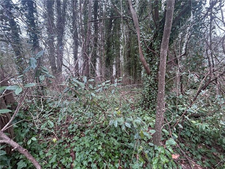 Property Photo:  Lot 23 Lovers Ln  VA 23487 