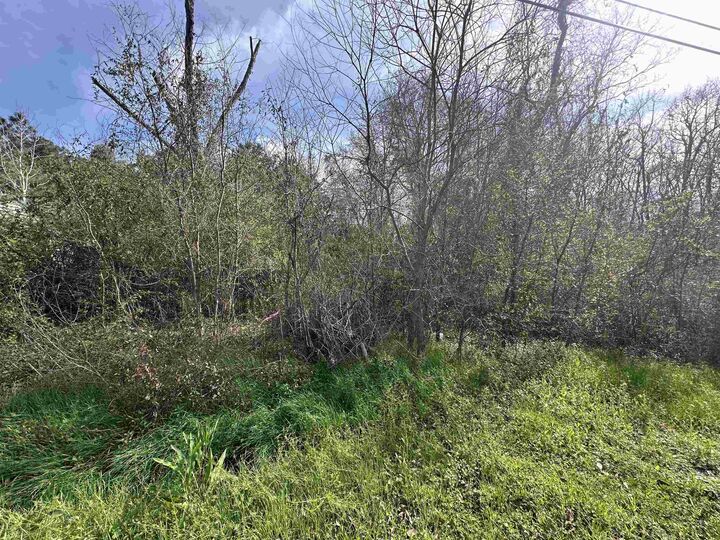 Property Photo: 1270 Operators Ln. TX 77662