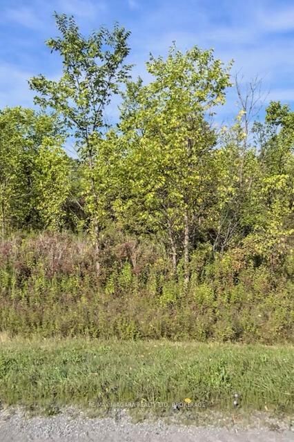 Lot 5 Montrose Road — photo 1