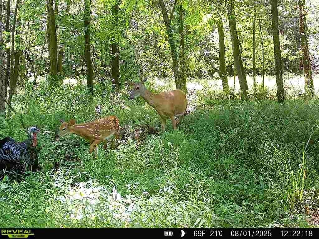 Property Photo: 0 SR 258 PA 16127