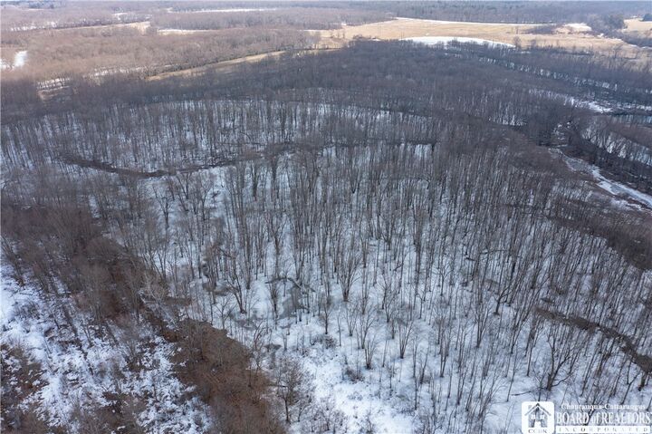 Property Photo:  0 Dolloff Road  NY 14701 