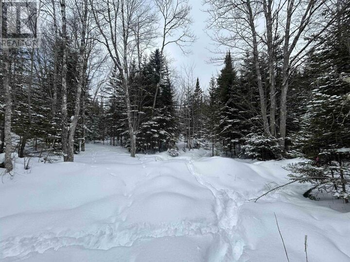 Property Photo:  1 Highway 289  NS B0N 1C0 