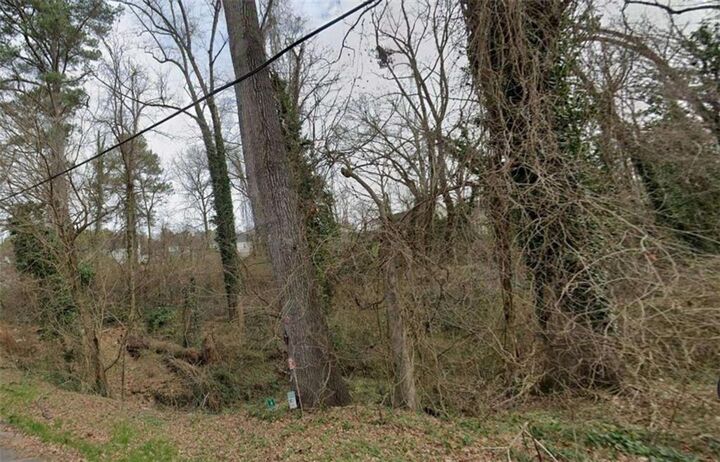 Property Photo:  0 Lumpkin Street  GA 30344 