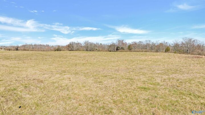 Property Photo: 17 Acres County Road 48 AL 35771