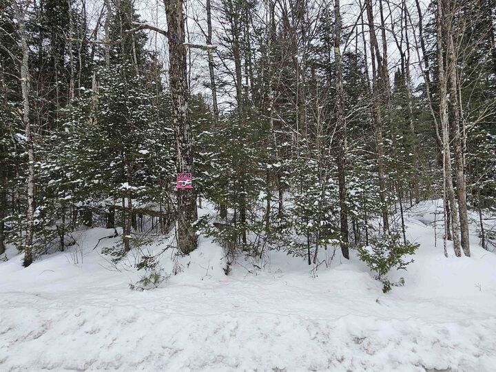 Property Photo: Lot 11 Brook Road NH 03585